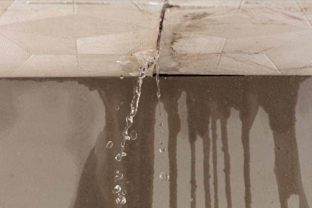 Professional Structural Drying technician working in Salem, IN